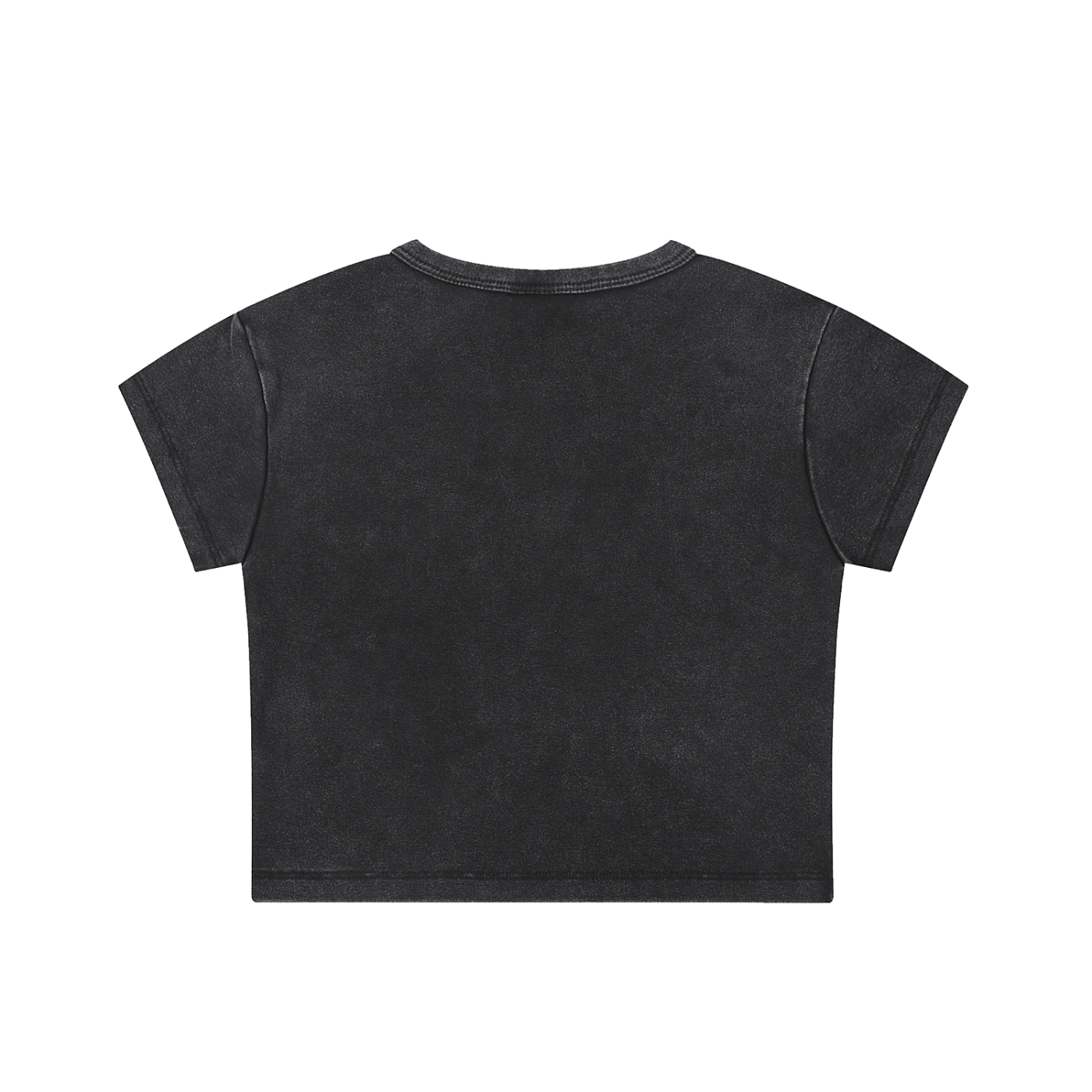 DAWNSTAR CROP TEE (SNOW WASH)